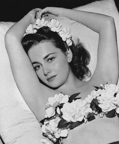 Remembering Olivia de Havilland ?? on her Birthday ?