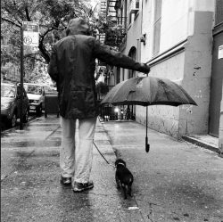 awwww-cute:  Best umbrella ettiquette, spotted on the streets of NYC