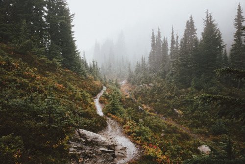 Hiking around Mount Rainier NP, Washington || IG: BToneVibes