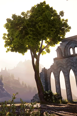 toreadours:dragon age inquisition scenery — 1/?