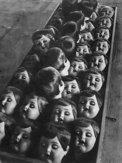 thequietdolls: Row of dolls heads, Germany,