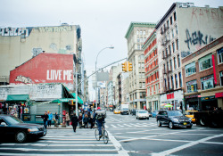 carnivorousveggie:  love me // china town,