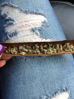 i-l0ve-y0o0u:  L rides and purp