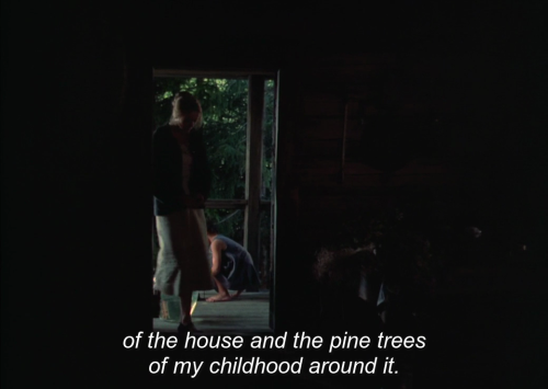 letsgetemboys: The Mirror [Зеркало] (1975, dir. Andrei Tarkovsky)
