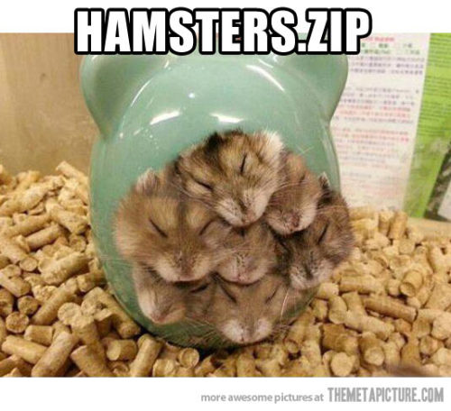 ….. I don’t know if this is cute or disturbing…. who am I kidding *high pitched squeal*  SO CUTE!  XD