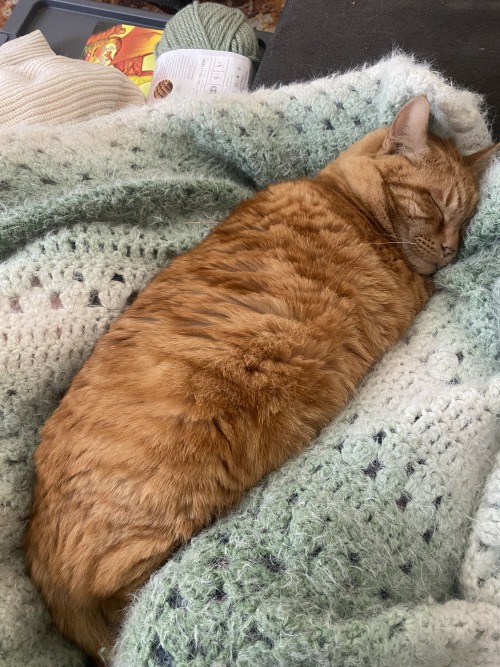 Loafed To Hard, Limbs Gone