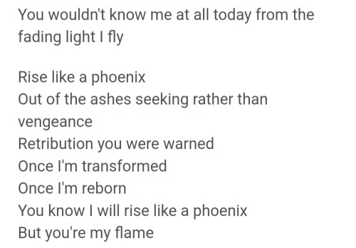 Tyler Ronan + Bird Symbolism