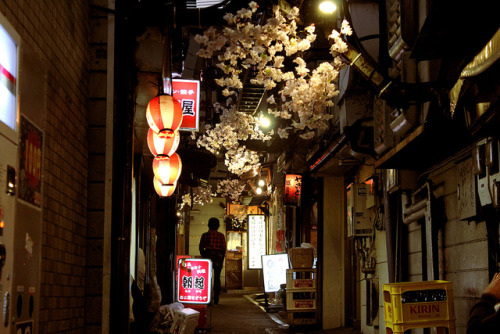 japan-mania:  Golden Gai by lilasyuri on porn pictures