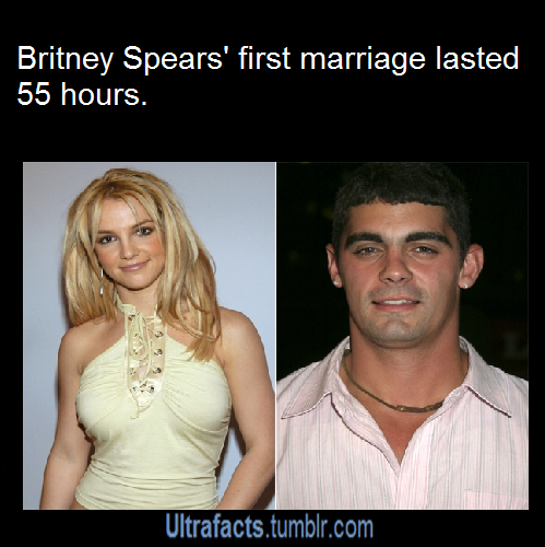 ultrafacts:     For more posts like this, follow the Ultrafacts Blog!    