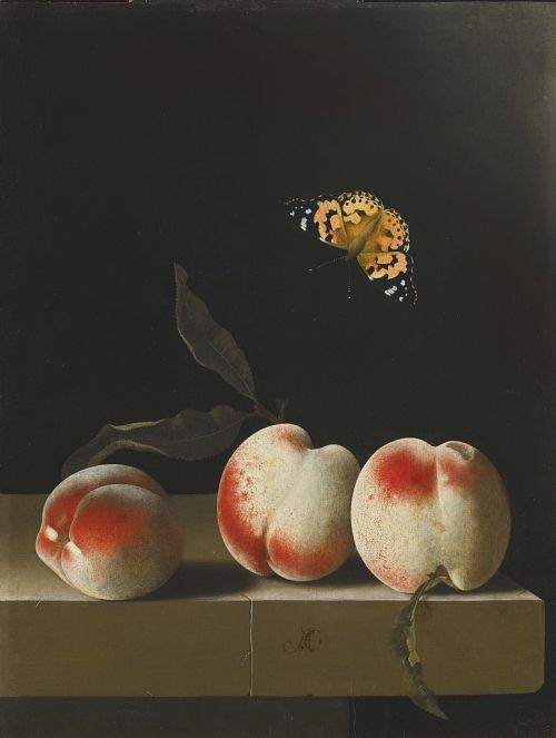 spoutziki-art:Adriaen Coorte - Three peaches on a stone ledge with a Painted Lady butterfly, 1693-95