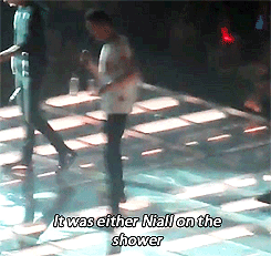 lewisandneil:  So Liam basically the best thing was Niall…(x) 