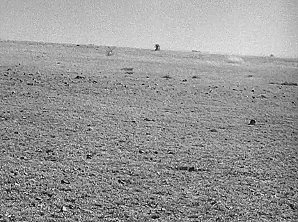 2b65be909d98f39859f246c3c64d83698ae2417c.gifv