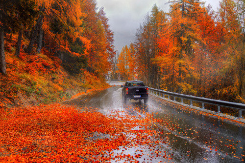beautifulklicks:autumn serpentine ….Gordeev EduardThe Dolomites. October 2017