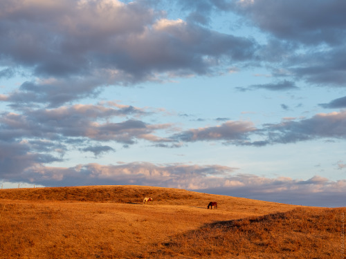 well kids, spring is finally here in the prairie. my near 6 month break from making photos is over. 