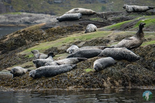 Scotland’s west coast has some of the most memorable natural wonders that you’ll ever experience! He