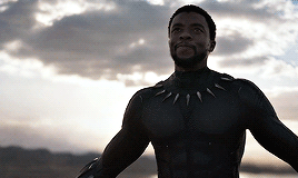 aliciavikender:  Tell me something. What do you know about Wakanda?Black Panther