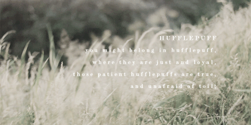 Where Do You Belong?