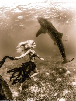 seanbbeanflavr14:  Whale shark and model