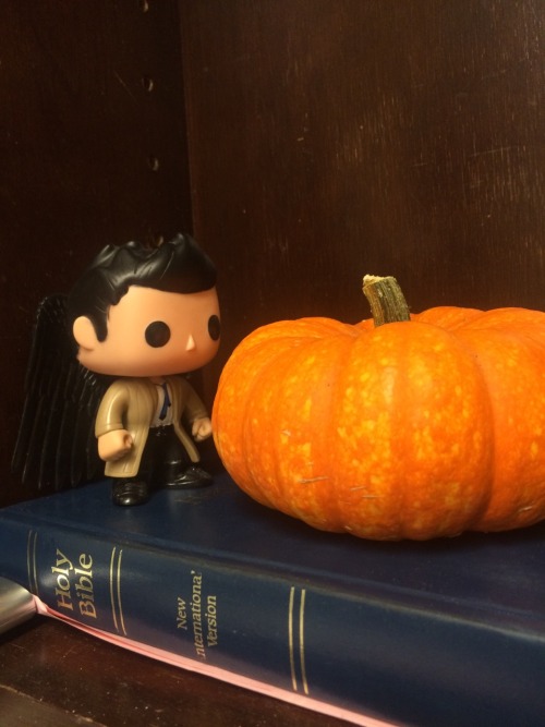 aromantic-dean:Cas next to my baby pumpkin. This is important guys