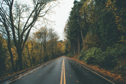 furstyphoto:  Obligatory fall road photo