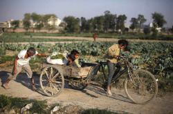 fotojournalismus:A young Indian girl pedals