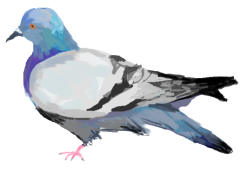 maghrabiyya:  maghrabiyya:  maghrabiyya:  maghrabiyya:  maghrabiyya:  i drew a pigeon on ms paint when my internet stopped working do you guys like it  i drew pigeon some papaya to eat  I drew pigeon a friend he brings kiwi   crow brings a single cherry