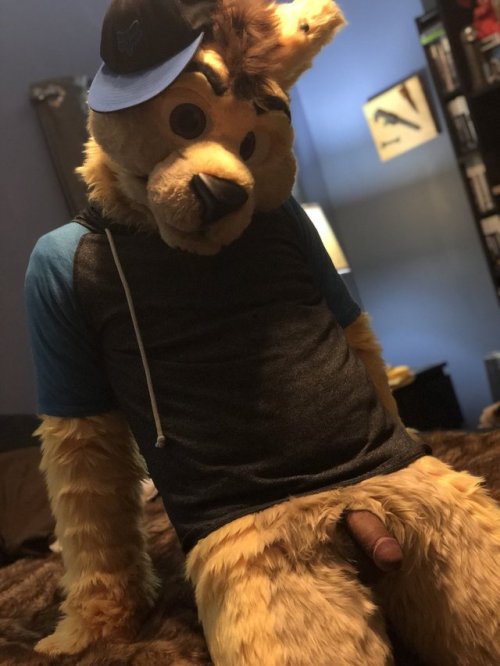 another-gay-yiff-blog-adult:  And here we have Daxter Dingo/ LittlepuppyAD showing off! 😍😍Be sure to check out his Xtube & TwitterTwitter - https://twitter.com/LittlePuppyADXtube - https://www.xtube.com/profile/daxterdingo-23489062