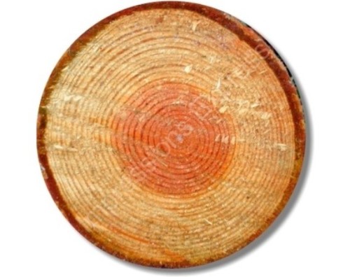 Tree Log Round Mousepad$13.00