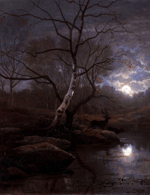 aqua-regia009:Forest landscape in the moonlight (1861)by Georg Eduard Otto Saal 
(1817-1870) 