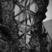 black-white-and-leather: