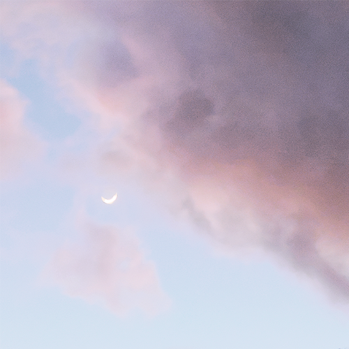 mvnymay:  tsukiyma:the sky was nice for 5 minutes earlier ! !!  Luna🌸