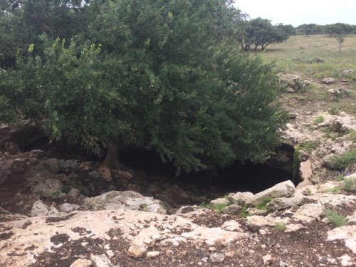 Archaeology at Hall&rsquo;s Cave, TX.