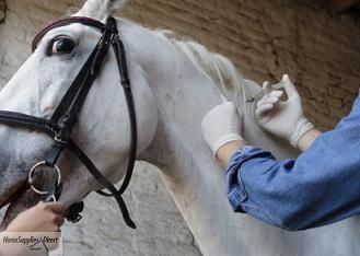 equine-awareness:  The Plea of the Ruined Horse  “There are innumerable factors