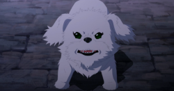 ohmykorra:  wow my puppy made an appearance