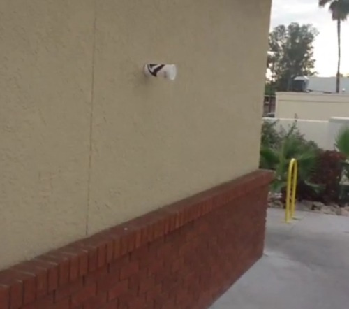fraxtil:  Why is there a cup attached to the wall of this Taco Bell 