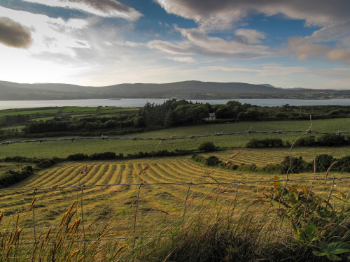 simonefiorani:  Irlanda 2013 