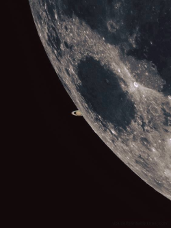 zerostatereflex:  Saturn photobombing the Moon, 1.2 billion kilometers away. Image Copyright Geek Out Huntsville