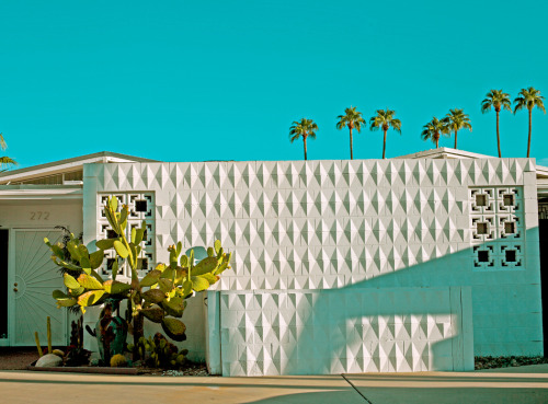midcenturymodernfreak:  “Life in Lemon Yellow” | Artist: Jen Zahigian | Palm Springs, CA You can get her prints here Via 