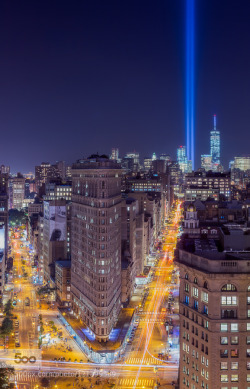 morethanphotography:  Tribute by tobyharriman