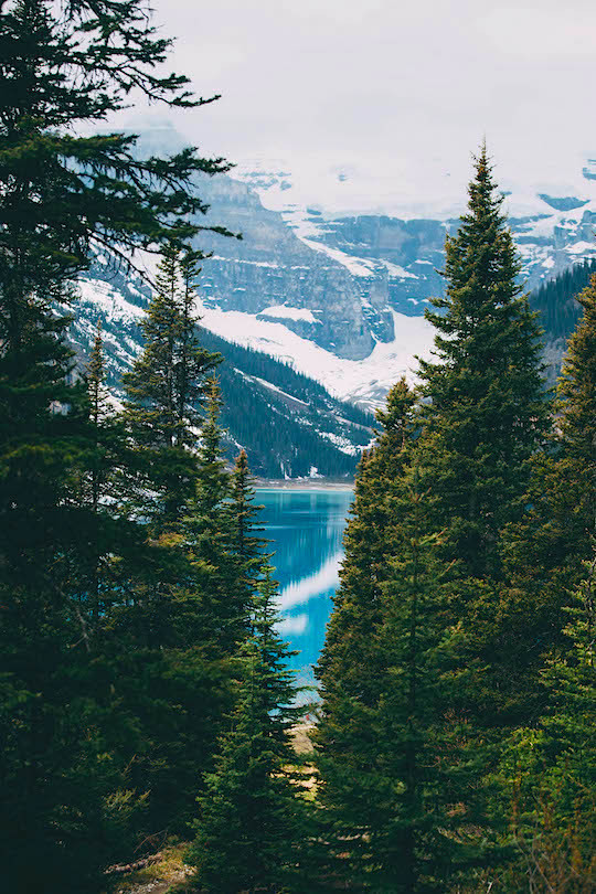 thelavishsociety:  Lake Louise by Kyle Sipple | LVSH