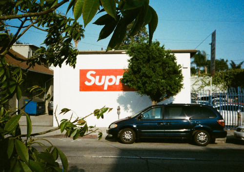 brainsrigazzi:  Sup Supreme, Los Angeles. porn pictures