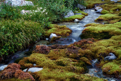 thebeautyofrussia:Gorge Ulla-Tau, Caucasusfotomm