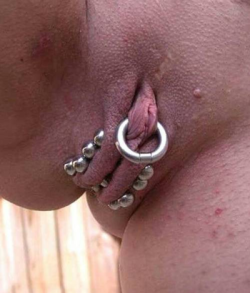 pussymodsgalore:  Well sealed by numerous barbells, chastity piercing.