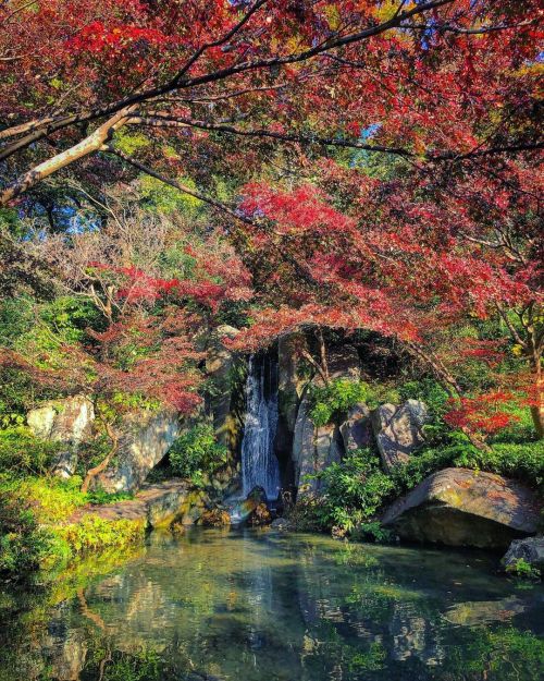 浜松城公園 日本庭園 [ 静岡県浜松市 ] ② Hamamatsu Castle Japanese Garden, Hamamatsu, Shizuoka ーー #徳川家康 が約20年を過ごした城郭・