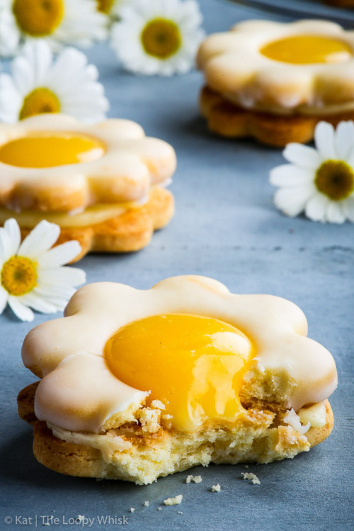 elennemigo: sweetoothgirl: Daisy Lemon Curd Sandwich Cookies @mouseymodesty tea?