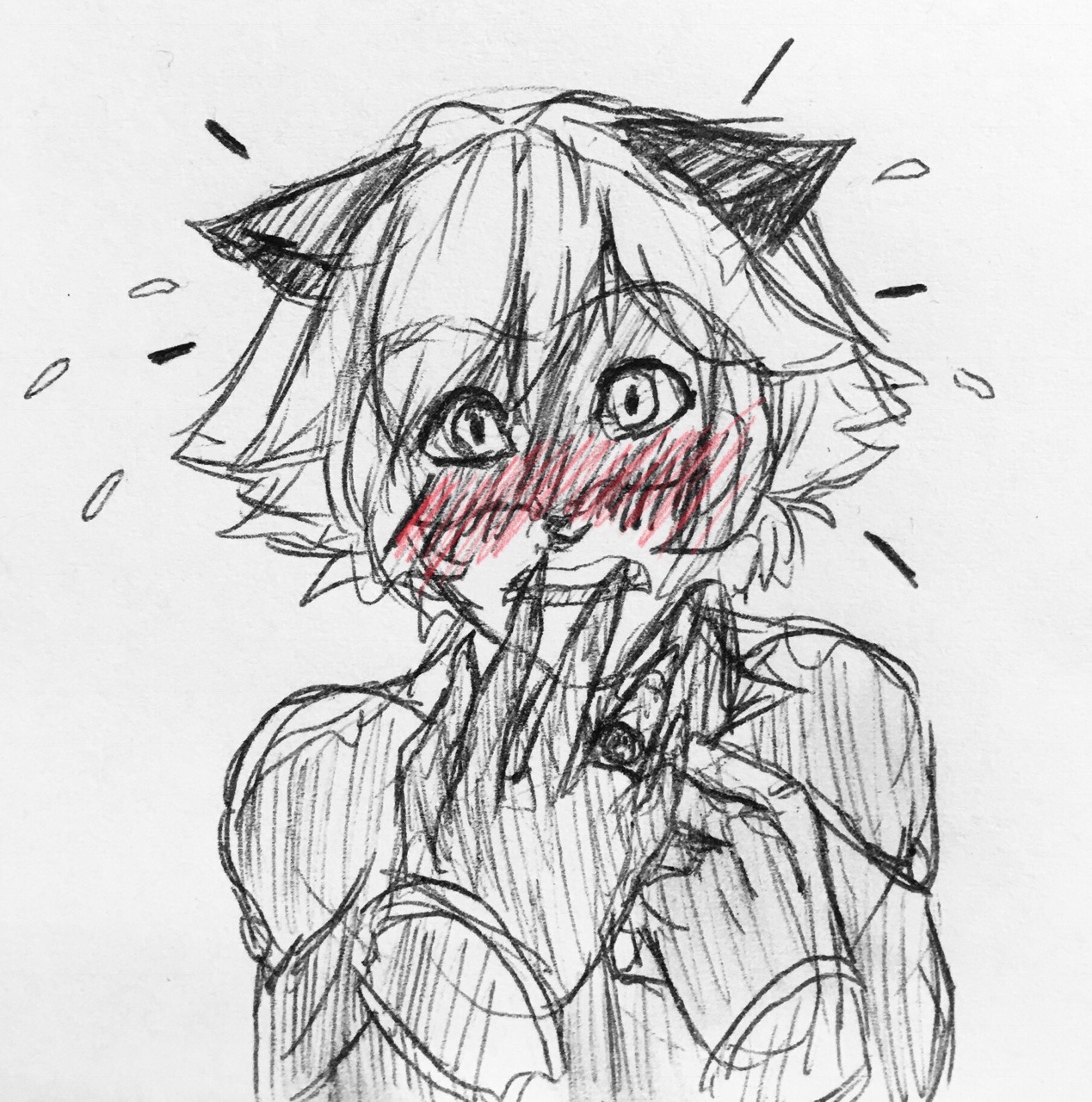 miracu-less:  -If LadyBug comes to terms with her feelings for Chat Noir-Slowly going