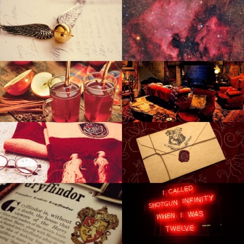 gryffindoralohomora:Harry Potter Aesthetics: GryffindorRavenclaw | Hufflepuff | Slytherin