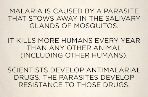 skunkbear:  The development of antimalarial drugs is fascinating – it is often driven by war and conquest. When human beings got busy trying to kill each other (during the era of colonial expansion, WWII, the Vietnam War), they often found themselves