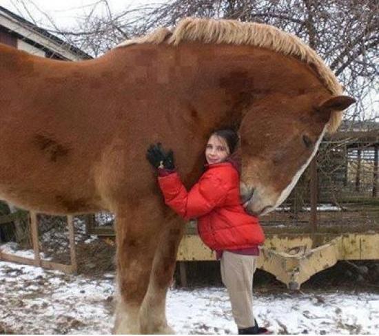 cuteanimalspics:&ldquo;My horsie!&rdquo;