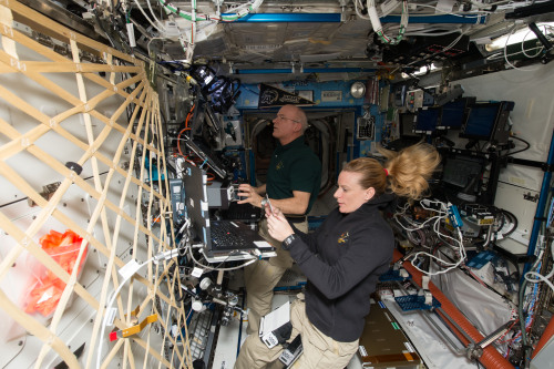 Training for Dragon CaptureISS048e028558 (07/18/2016) — NASA astronauts Jeff Williams (left) a